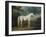 White Horse in a Wooded Landscape, 1791-Sawrey Gilpin-Framed Giclee Print