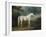 White Horse in a Wooded Landscape, 1791-Sawrey Gilpin-Framed Giclee Print