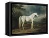 White Horse in a Wooded Landscape, 1791-Sawrey Gilpin-Framed Stretched Canvas