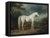 White Horse in a Wooded Landscape, 1791-Sawrey Gilpin-Framed Stretched Canvas