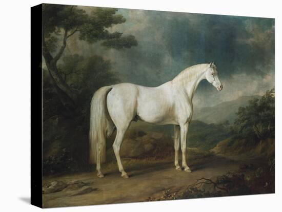 White Horse in a Wooded Landscape, 1791-Sawrey Gilpin-Stretched Canvas