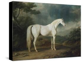 White Horse in a Wooded Landscape, 1791-Sawrey Gilpin-Stretched Canvas