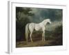 White Horse in a Wooded Landscape, 1791-Sawrey Gilpin-Framed Giclee Print