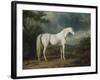 White Horse in a Wooded Landscape, 1791-Sawrey Gilpin-Framed Giclee Print