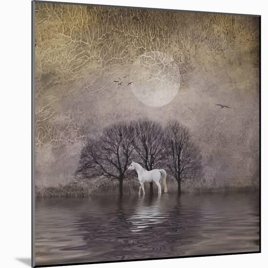 White Horse in Pond-Dawne Polis-Mounted Art Print