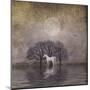 White Horse in Pond-Dawne Polis-Mounted Art Print