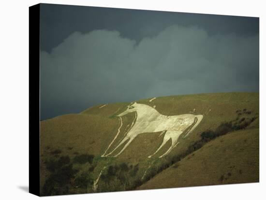 White Horse Near Westbury, Wiltshire, England, United Kingdom, Europe-David Beatty-Stretched Canvas