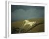 White Horse Near Westbury, Wiltshire, England, United Kingdom, Europe-David Beatty-Framed Photographic Print