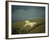 White Horse Near Westbury, Wiltshire, England, United Kingdom, Europe-David Beatty-Framed Photographic Print