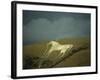 White Horse Near Westbury, Wiltshire, England, United Kingdom, Europe-David Beatty-Framed Photographic Print