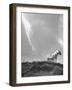 White Horse Ranch Where New Breed of Albino Horses are Being Raised-William C^ Shrout-Framed Photographic Print