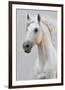 White Horse Stallion-null-Framed Art Print