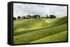 White Horse, the Cherhill Downs, Wiltshire, England, United Kingdom, Europe-Graham Lawrence-Framed Stretched Canvas