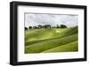 White Horse, the Cherhill Downs, Wiltshire, England, United Kingdom, Europe-Graham Lawrence-Framed Photographic Print