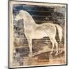 White Horse-Irena Orlov-Mounted Art Print