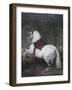 White Horse-Diego Velazquez-Framed Giclee Print