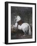 White Horse-Diego Velazquez-Framed Giclee Print