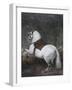 White Horse-Diego Velazquez-Framed Giclee Print