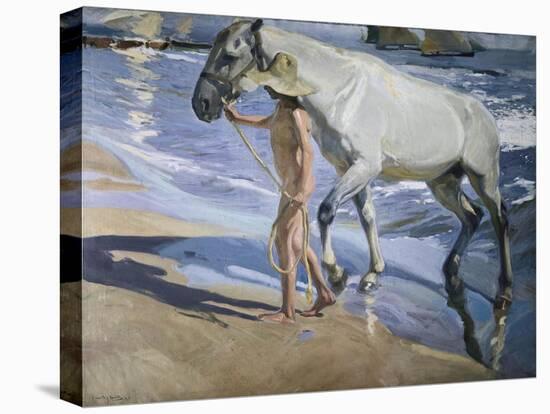 White Horse-Joaquín Sorolla y Bastida-Stretched Canvas