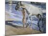 White Horse-Joaquín Sorolla y Bastida-Mounted Art Print