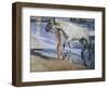 White Horse-Joaquín Sorolla y Bastida-Framed Art Print