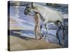 White Horse-Joaquín Sorolla y Bastida-Stretched Canvas