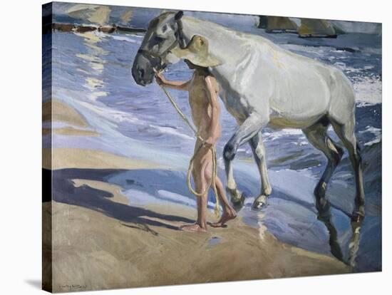 White Horse-Joaquín Sorolla y Bastida-Stretched Canvas