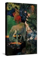 White Horse-Paul Gauguin-Stretched Canvas