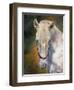 white horse-David Stribbling-Framed Art Print