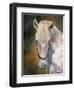 white horse-David Stribbling-Framed Art Print