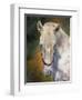 white horse-David Stribbling-Framed Art Print