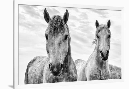 White Horses, Camargue, France-Nadia Isakova-Framed Photographic Print