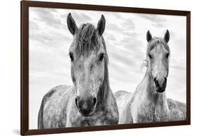 White Horses, Camargue, France-Nadia Isakova-Framed Photographic Print