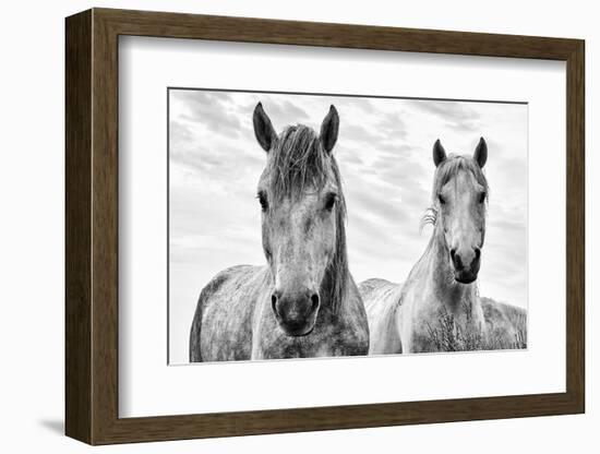 White Horses, Camargue, France-Nadia Isakova-Framed Photographic Print