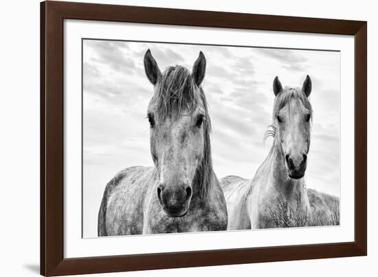 White Horses, Camargue, France-Nadia Isakova-Framed Photographic Print