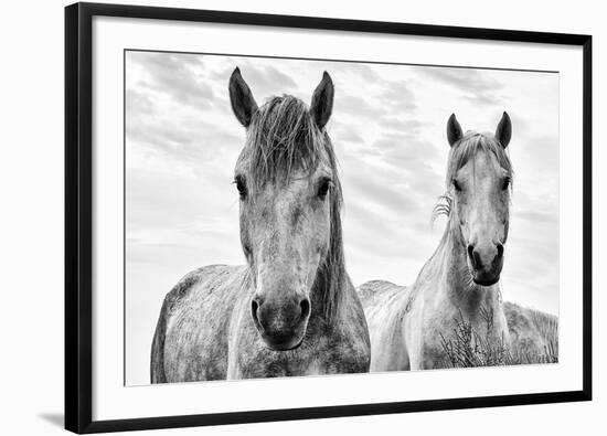 White Horses, Camargue, France-Nadia Isakova-Framed Photographic Print