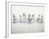 White Horses I-Irene Suchocki-Framed Giclee Print