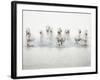 White Horses I-Irene Suchocki-Framed Giclee Print