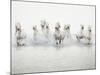 White Horses I-Irene Suchocki-Mounted Giclee Print