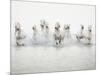 White Horses I-Irene Suchocki-Mounted Giclee Print