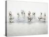 White Horses I-Irene Suchocki-Stretched Canvas