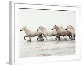 White Horses II-Irene Suchocki-Framed Giclee Print