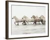 White Horses II-Irene Suchocki-Framed Giclee Print