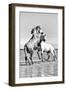 White Horses of Camargue Fighting in the Water, Camargue, France-Nadia Isakova-Framed Photographic Print