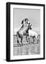 White Horses of Camargue Fighting in the Water, Camargue, France-Nadia Isakova-Framed Photographic Print