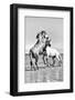 White Horses of Camargue Fighting in the Water, Camargue, France-Nadia Isakova-Framed Photographic Print