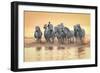 White Horses of Camargue Running in Mediterranean Water at Sunrise-Sheila Haddad-Framed Photographic Print