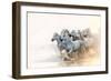 White Horses of Camargue Running in the Mediterranean Water at Sunrise-Sheila Haddad-Framed Photographic Print