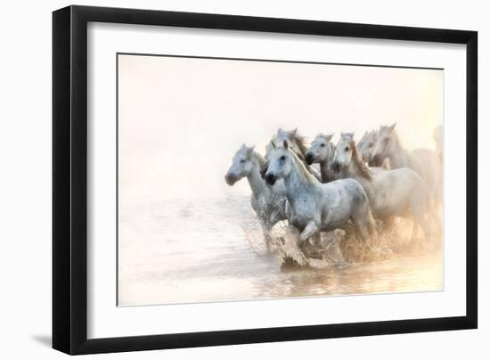 White Horses of Camargue Running in the Mediterranean Water at Sunrise-Sheila Haddad-Framed Photographic Print