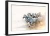 White Horses of Camargue Running in the Mediterranean Water at Sunrise-Sheila Haddad-Framed Photographic Print